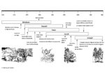 Chronologie genese